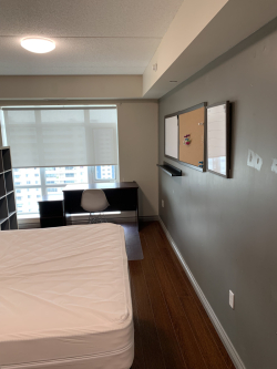 WATERLOO SUMMER SUBLET - PRIVATE WASHROOM WITH SHOWER, STEPS AWAY FROM LAURIER AND CONESTOGA